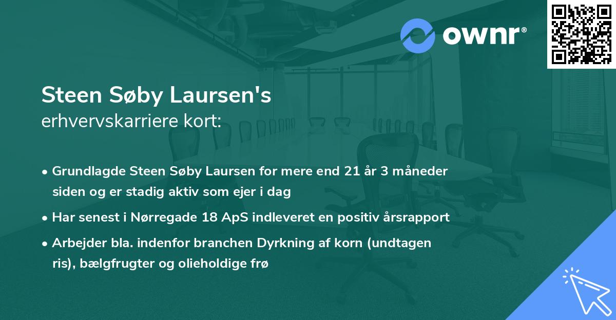 Steen Søby Laursen's erhvervskarriere kort