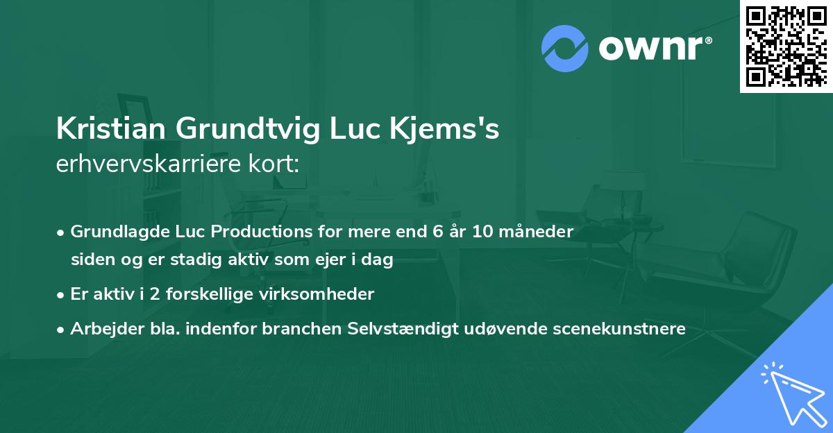 Kristian Grundtvig Luc Kjems's erhvervskarriere kort