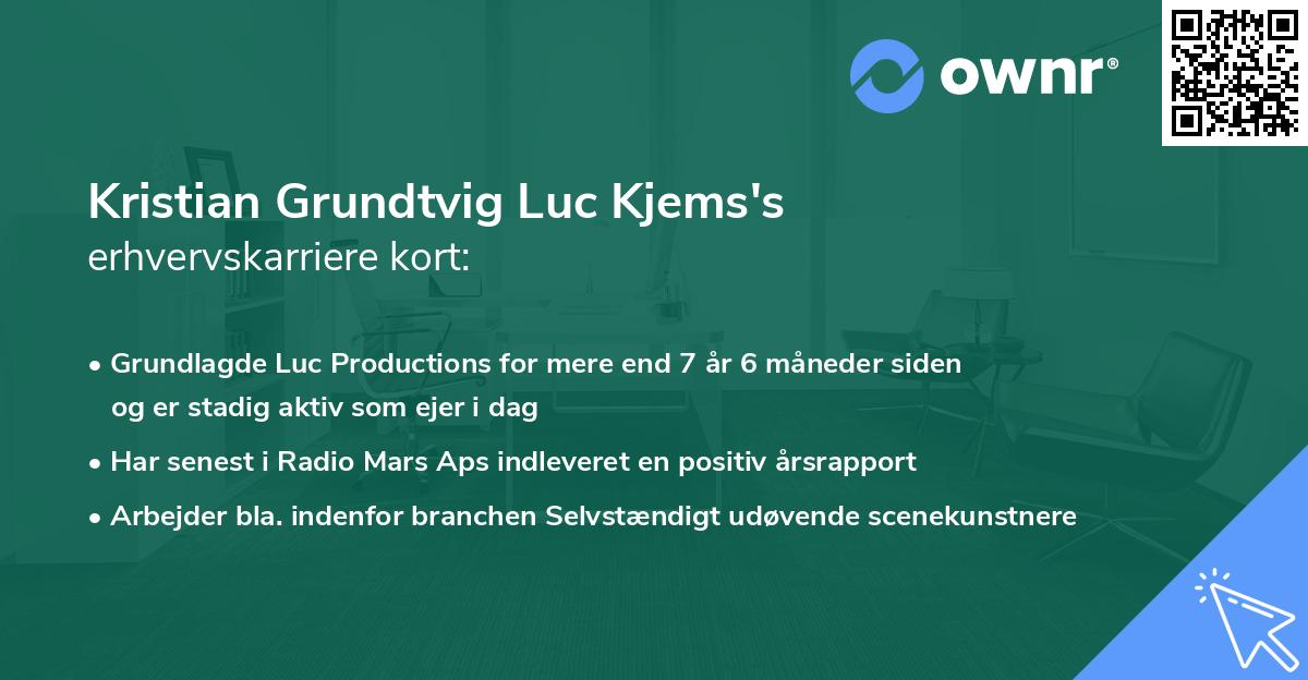 Kristian Grundtvig Luc Kjems's erhvervskarriere kort