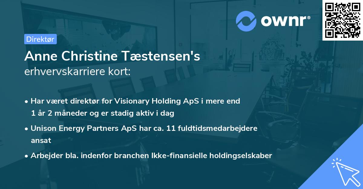 Anne Christine Tæstensen's erhvervskarriere kort
