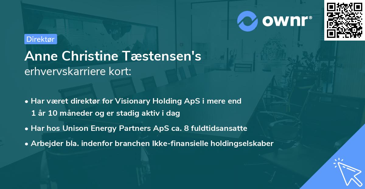 Anne Christine Tæstensen's erhvervskarriere kort