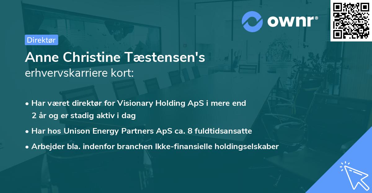 Anne Christine Tæstensen's erhvervskarriere kort