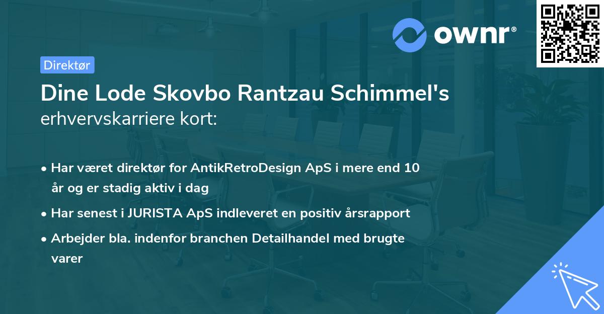 Dine Lode Skovbo Rantzau Schimmel's erhvervskarriere kort