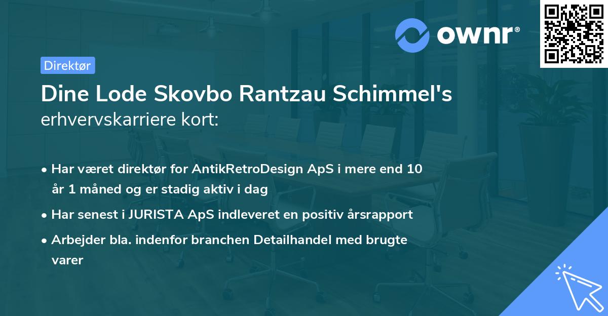 Dine Lode Skovbo Rantzau Schimmel's erhvervskarriere kort
