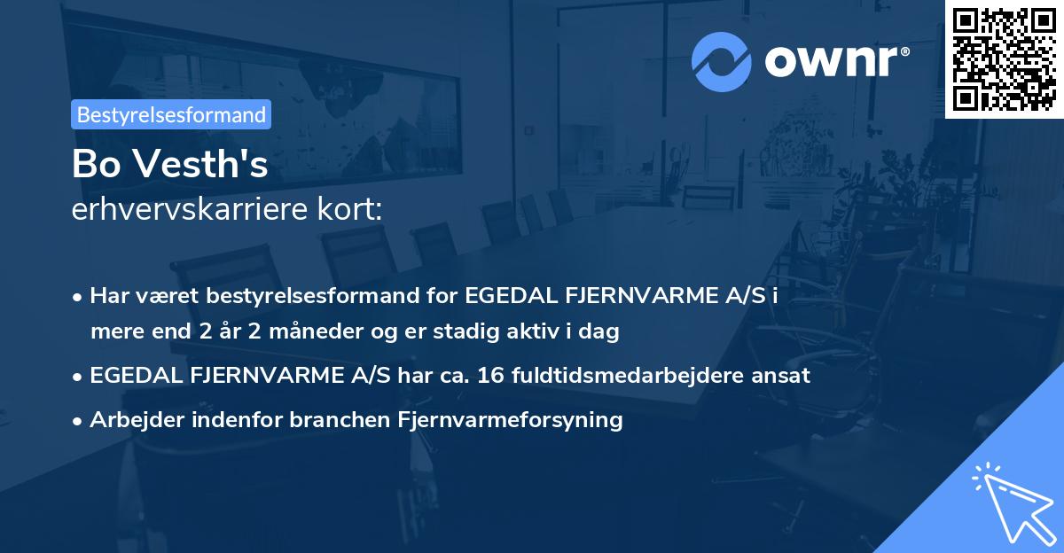 Bo Vesth's erhvervskarriere kort