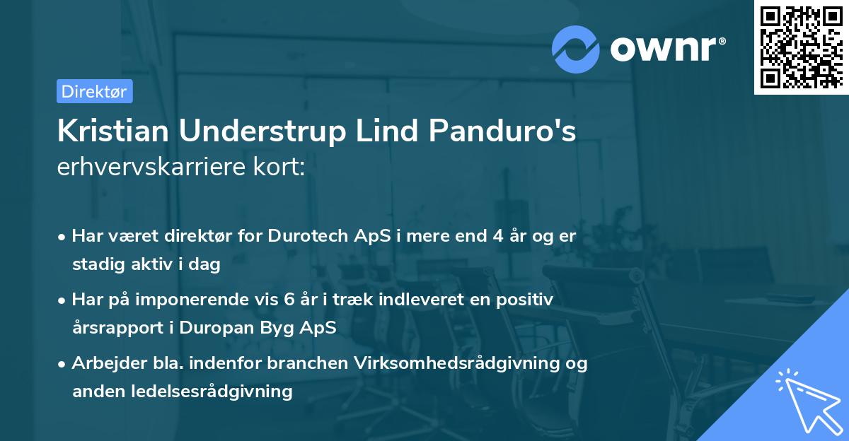 Kristian Understrup Lind Panduro's erhvervskarriere kort