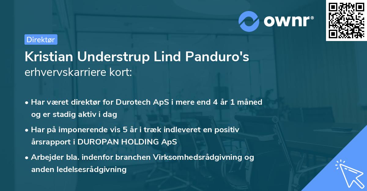 Kristian Understrup Lind Panduro's erhvervskarriere kort