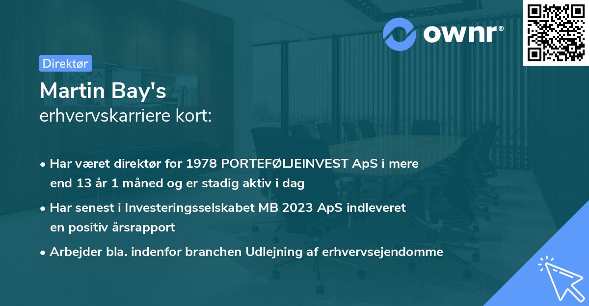 Martin Bay's erhvervskarriere kort