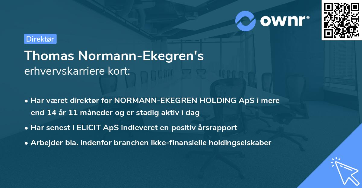 Thomas Normann-Ekegren's erhvervskarriere kort