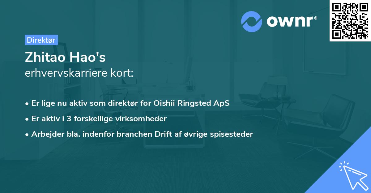 Zhitao Hao's erhvervskarriere kort