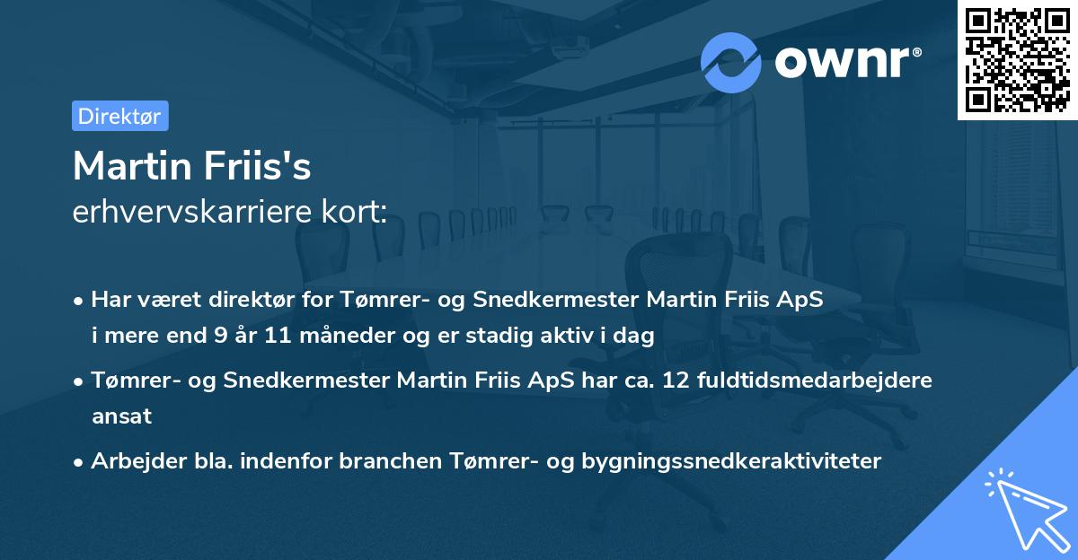 Martin Friis's erhvervskarriere kort