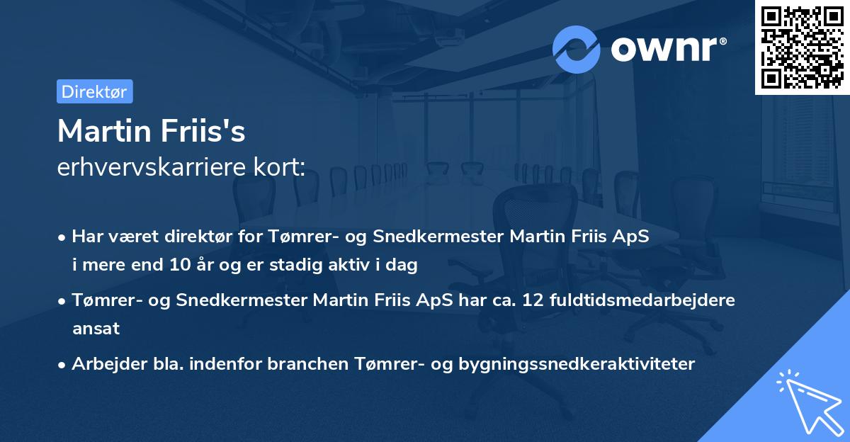 Martin Friis's erhvervskarriere kort