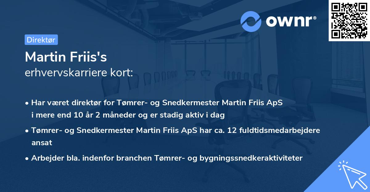 Martin Friis's erhvervskarriere kort