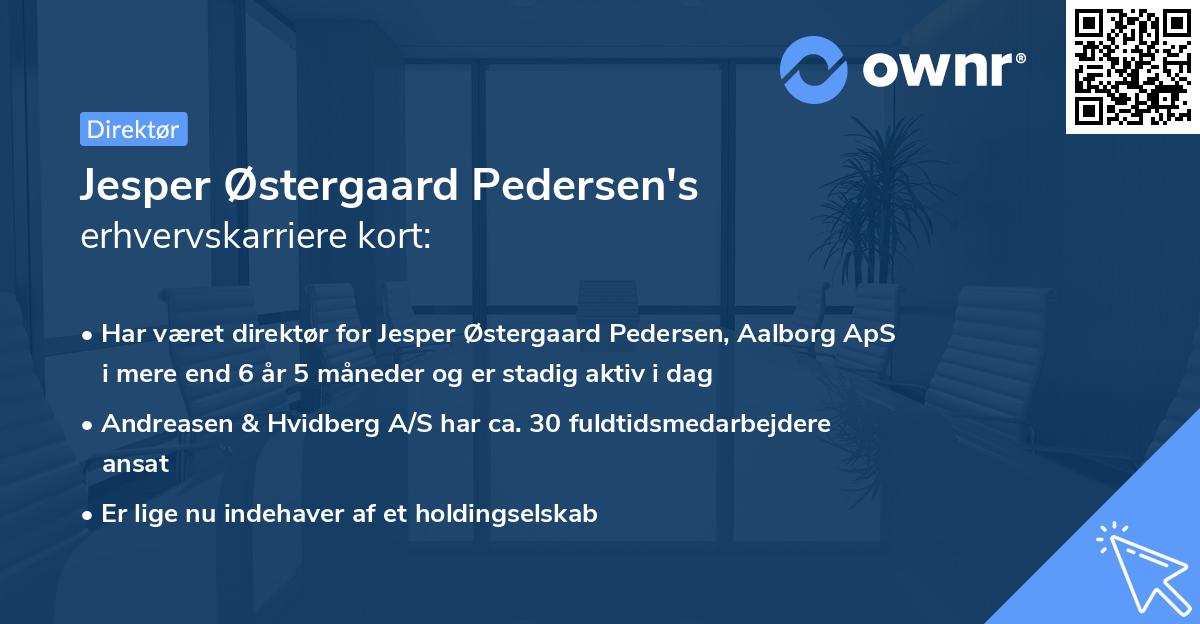 Jesper Østergaard Pedersen's erhvervskarriere kort
