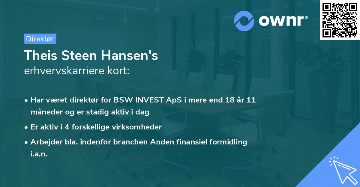 Theis Steen Hansen's erhvervskarriere kort
