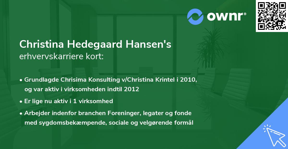 Christina Hedegaard Hansen's erhvervskarriere kort