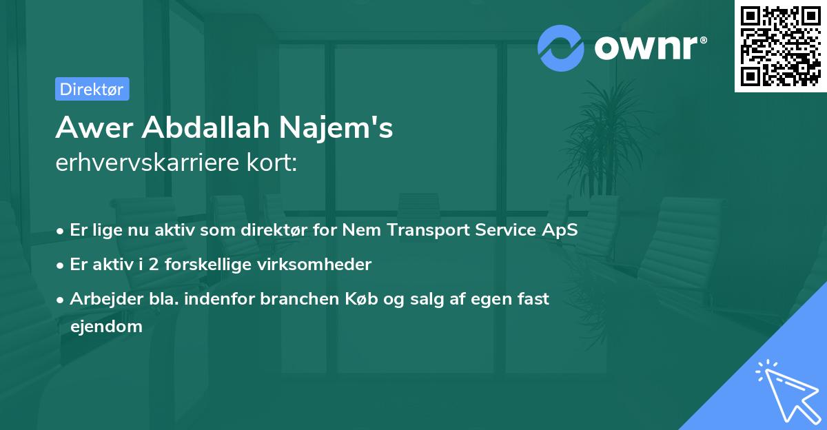 Awer Abdallah Najem's erhvervskarriere kort