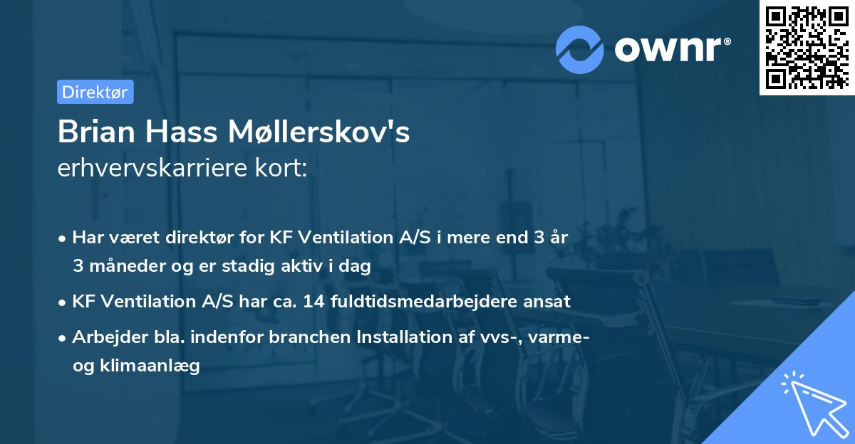 Brian Hass Møllerskov's erhvervskarriere kort