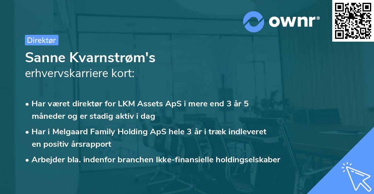 Sanne Kvarnstrøm's erhvervskarriere kort