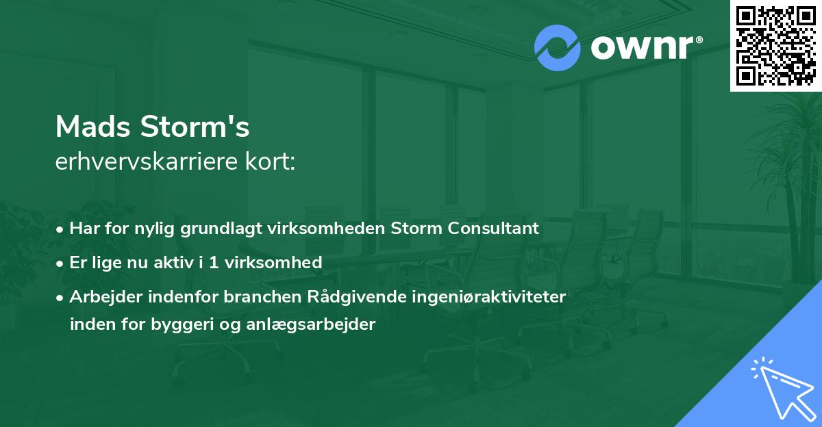 Mads Storm's erhvervskarriere kort