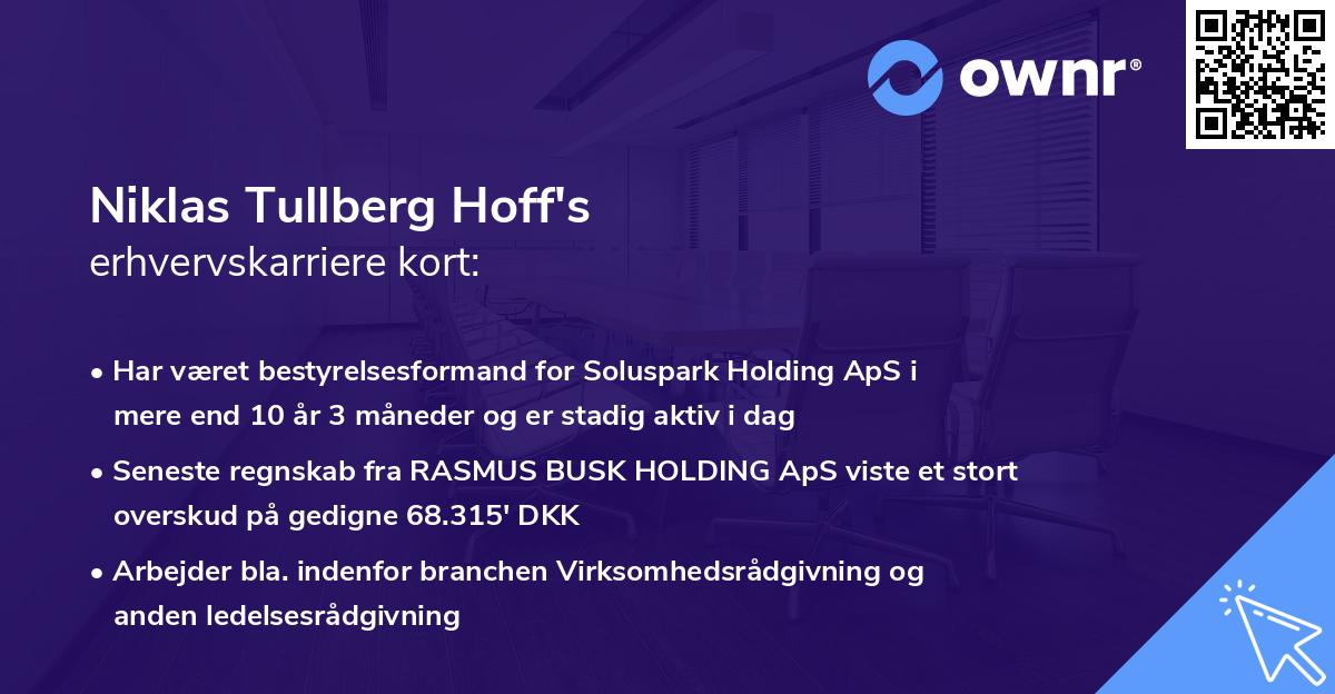 Niklas Tullberg Hoff's erhvervskarriere kort
