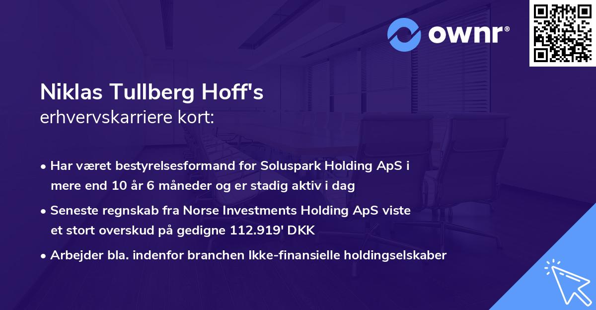 Niklas Tullberg Hoff's erhvervskarriere kort