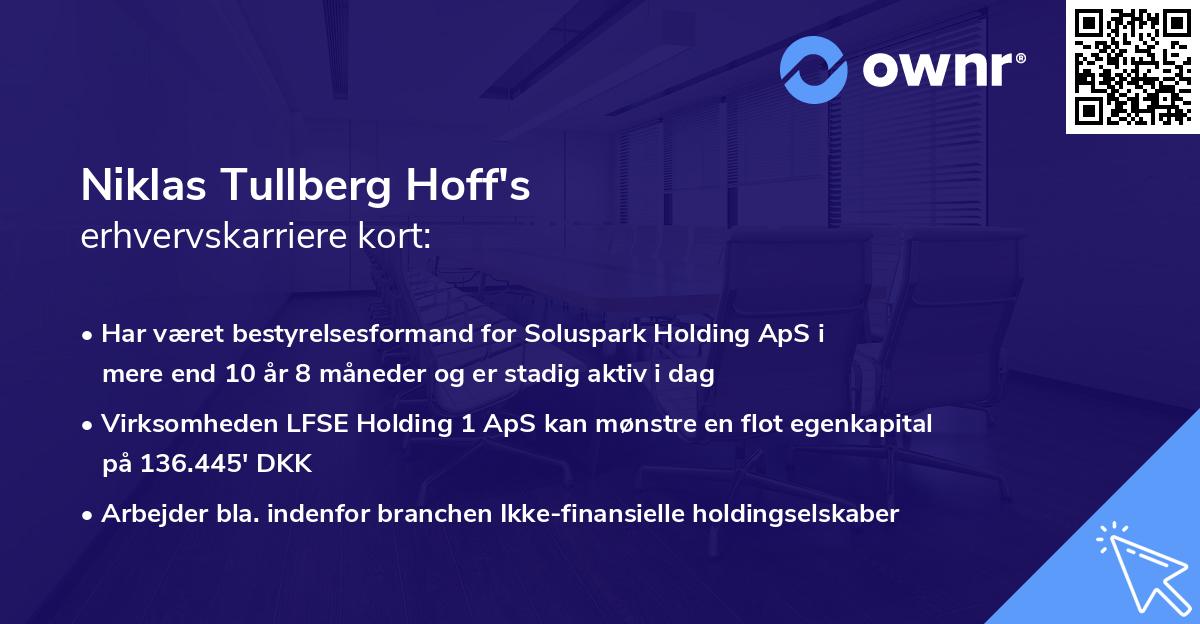 Niklas Tullberg Hoff's erhvervskarriere kort