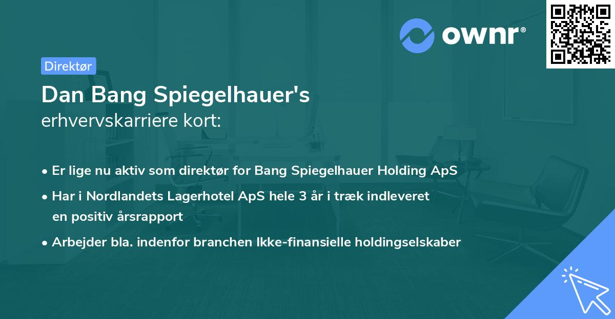 Dan Bang Spiegelhauer's erhvervskarriere kort