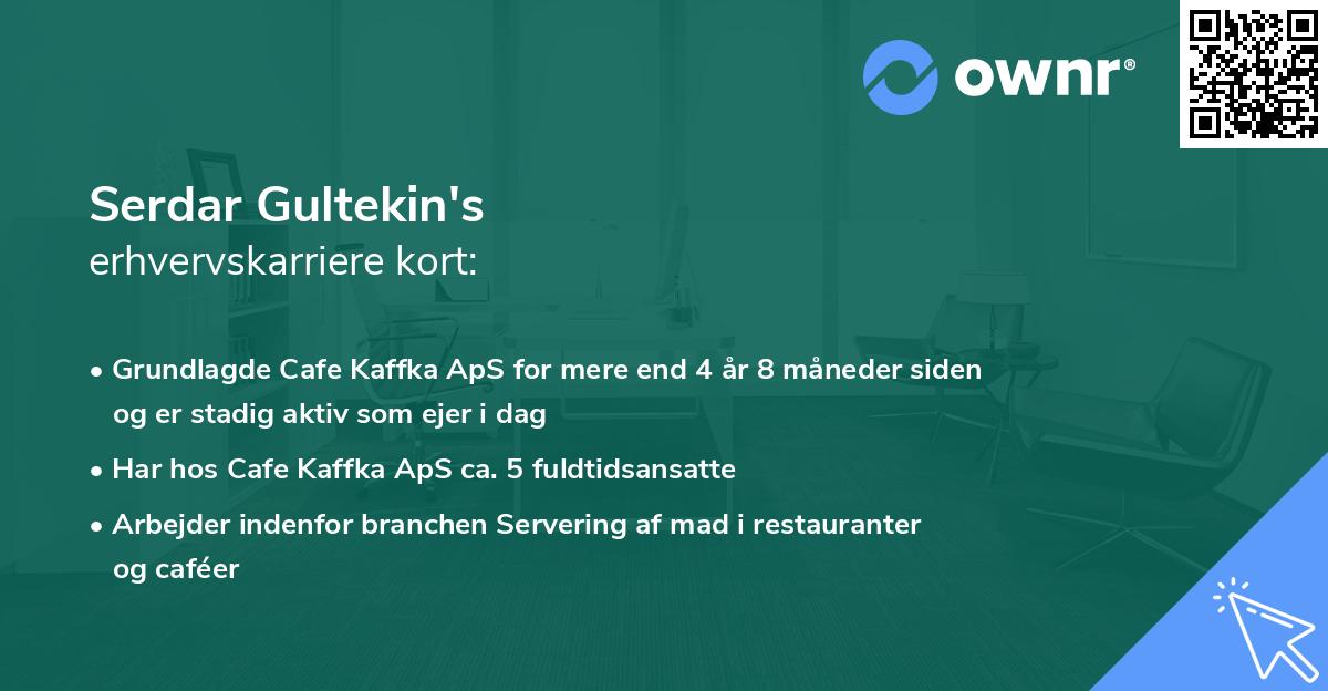 Serdar Gultekin's erhvervskarriere kort