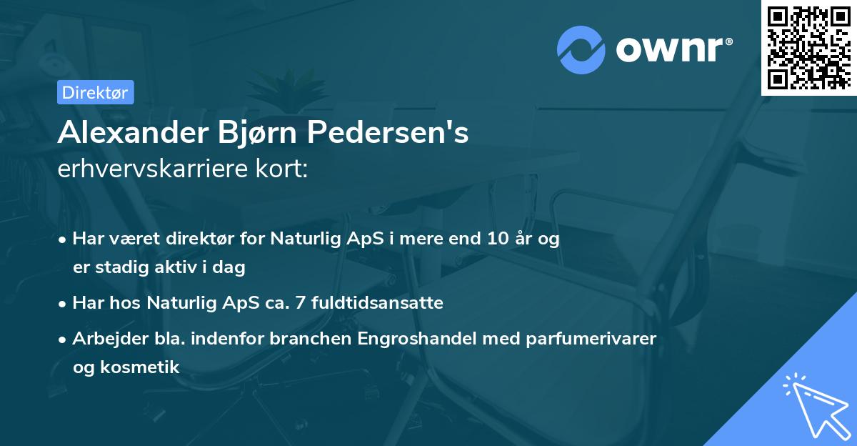 Alexander Bjørn Pedersen's erhvervskarriere kort