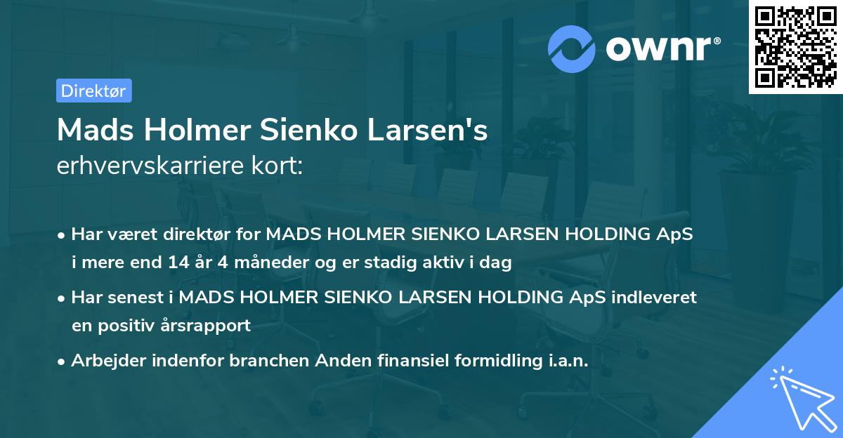 Mads Holmer Sienko Larsen's erhvervskarriere kort