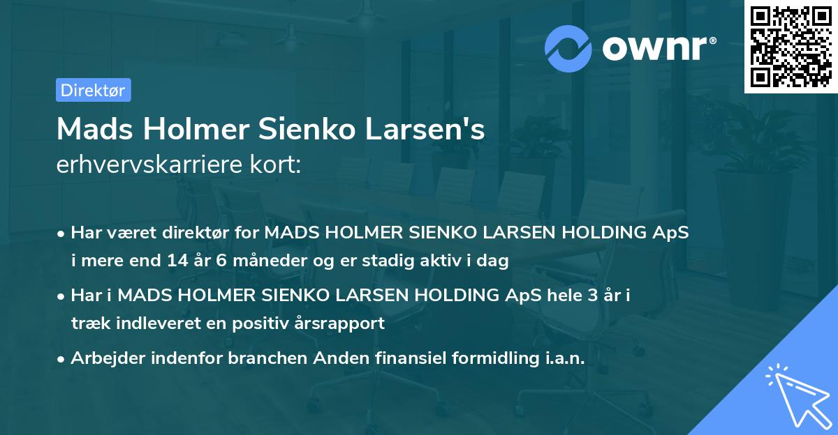Mads Holmer Sienko Larsen's erhvervskarriere kort