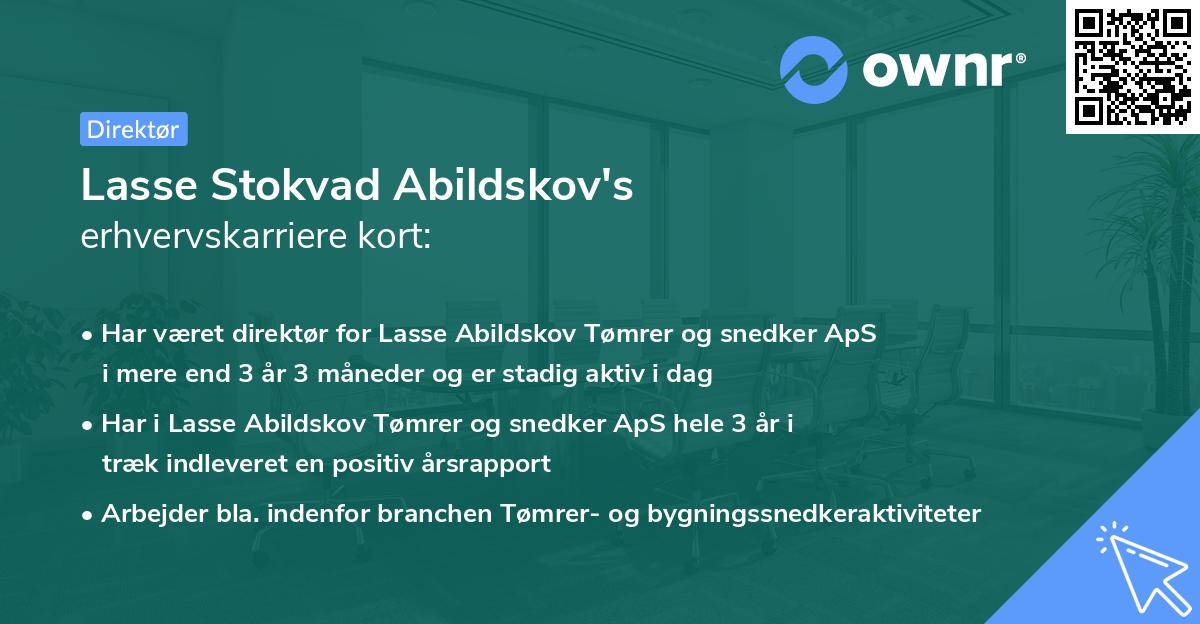 Lasse Stokvad Abildskov's erhvervskarriere kort