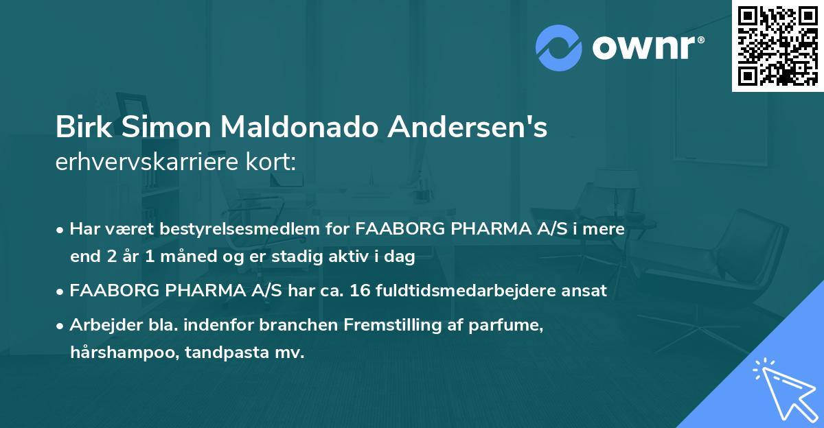 Birk Simon Maldonado Andersen's erhvervskarriere kort