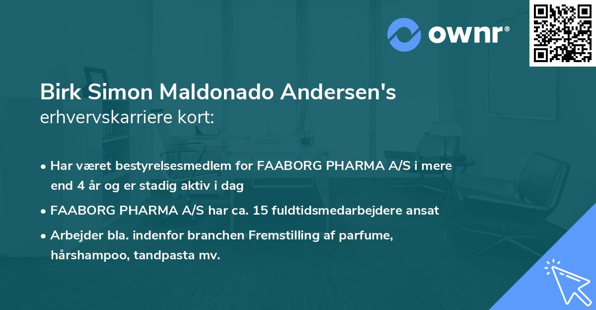 Birk Simon Maldonado Andersen's erhvervskarriere kort