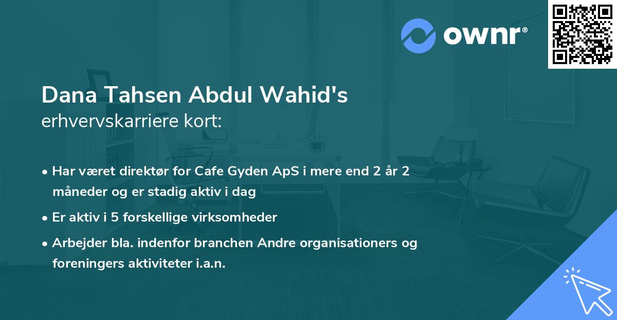 Dana Tahsen Abdul Wahid's erhvervskarriere kort