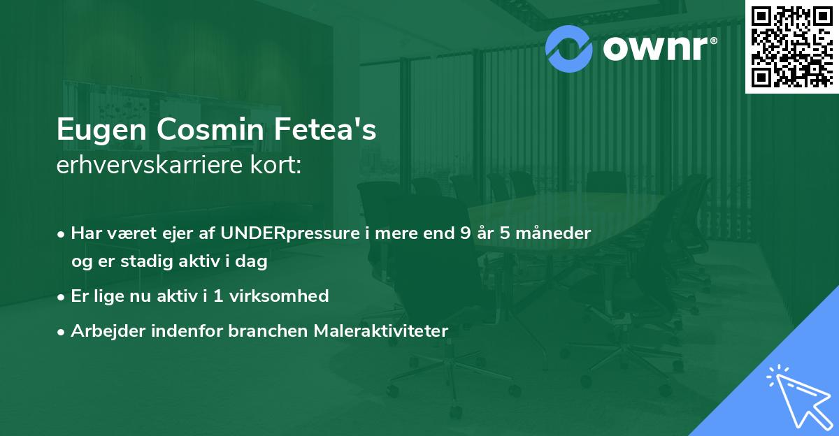 Eugen Cosmin Fetea's erhvervskarriere kort