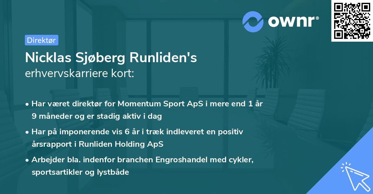 Nicklas Sjøberg Runliden's erhvervskarriere kort