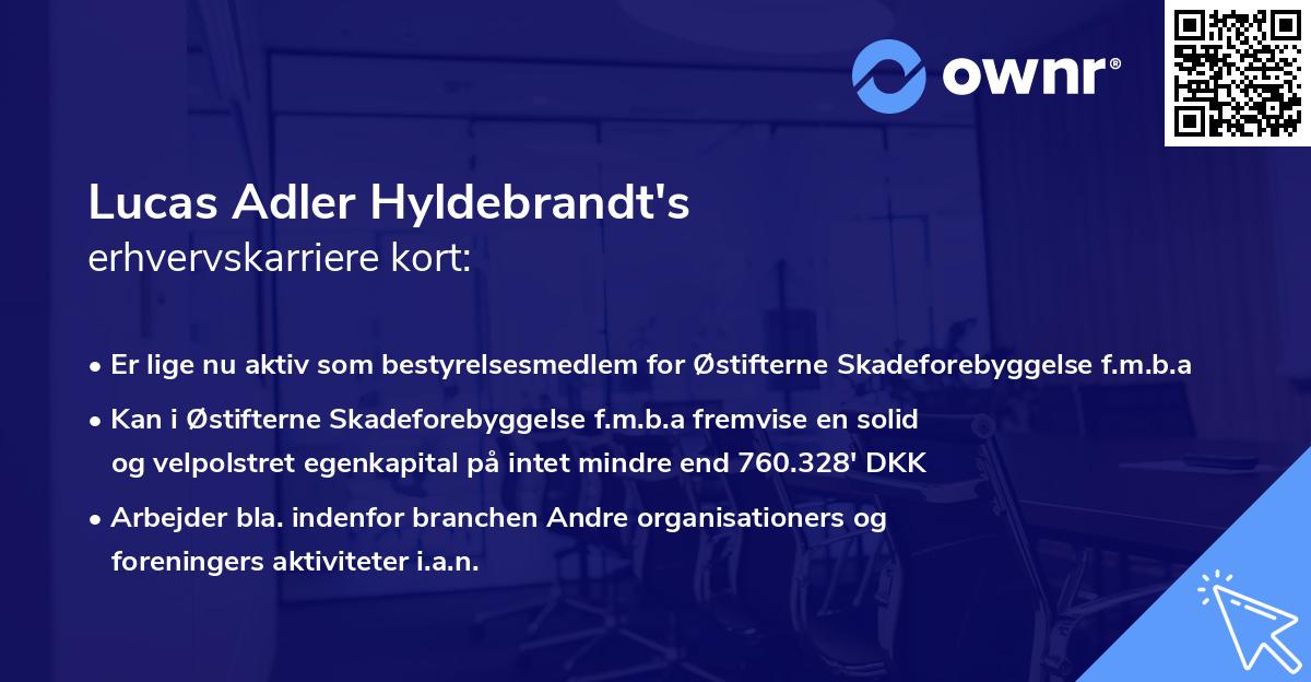 Lucas Adler Hyldebrandt's erhvervskarriere kort