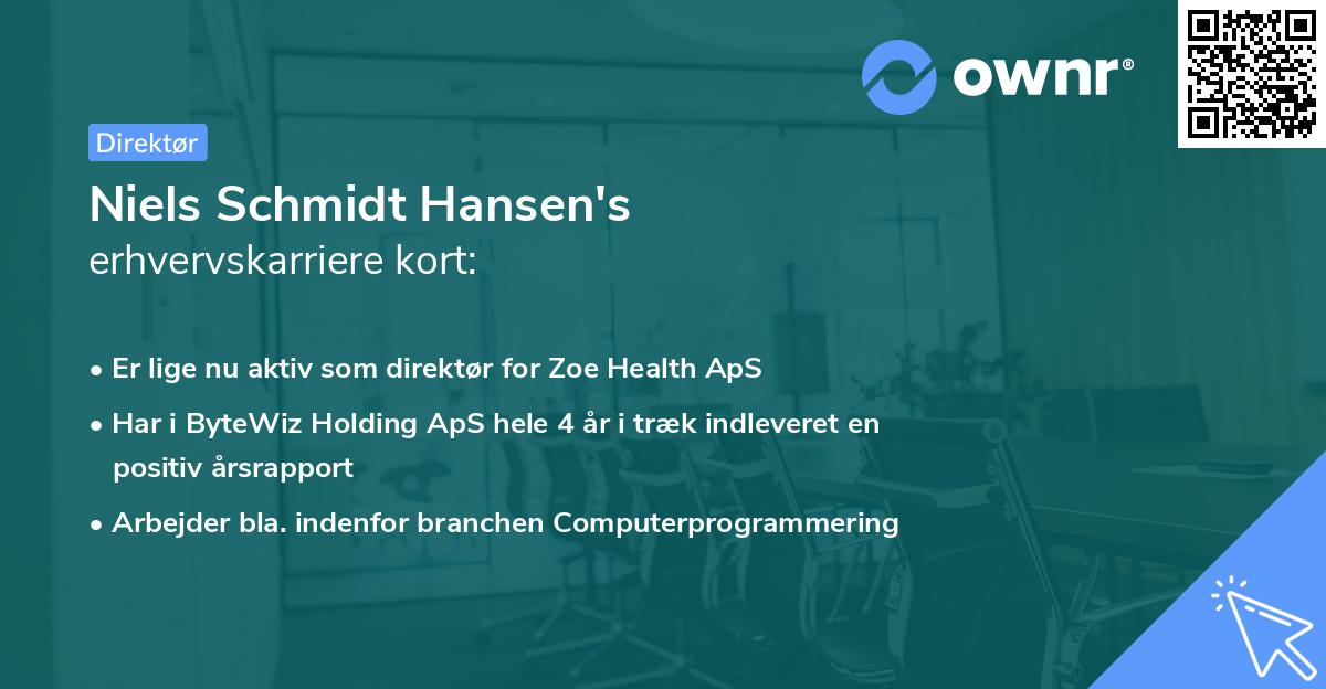 Niels Schmidt Hansen's erhvervskarriere kort