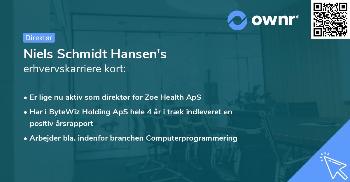 Niels Schmidt Hansen's erhvervskarriere kort