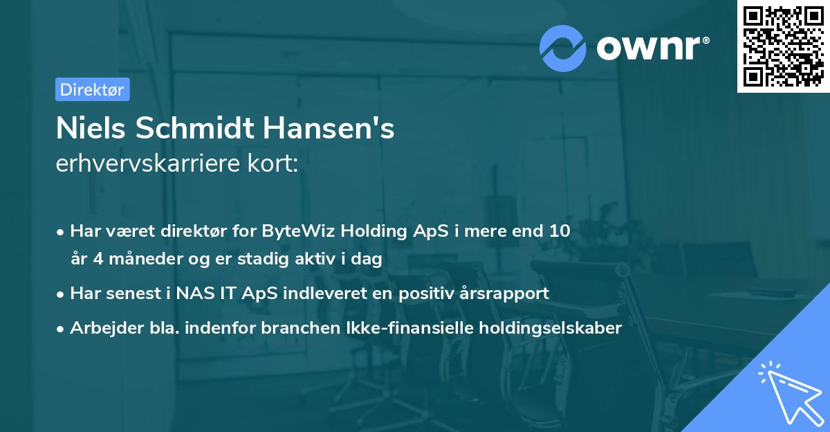 Niels Schmidt Hansen's erhvervskarriere kort