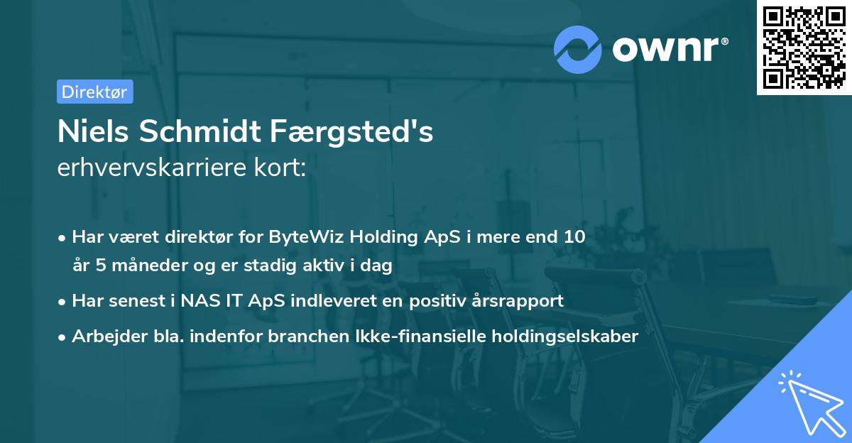 Niels Schmidt Færgsted's erhvervskarriere kort