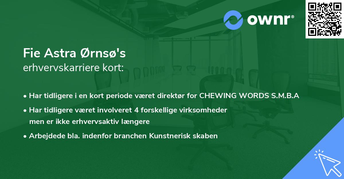 Fie Astra Ørnsø's erhvervskarriere kort