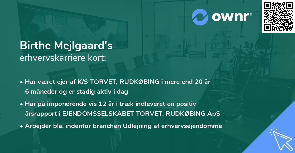 Birthe Mejlgaard's erhvervskarriere kort
