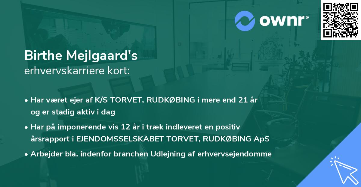 Birthe Mejlgaard's erhvervskarriere kort