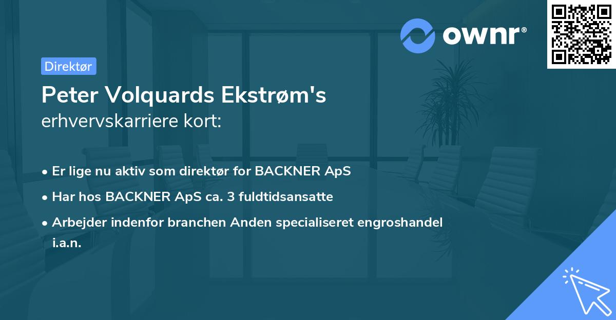 Peter Volquards Ekstrøm's erhvervskarriere kort