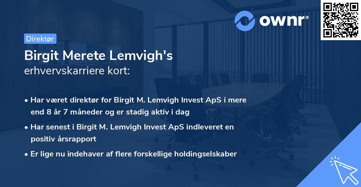 Birgit Merete Lemvigh's erhvervskarriere kort