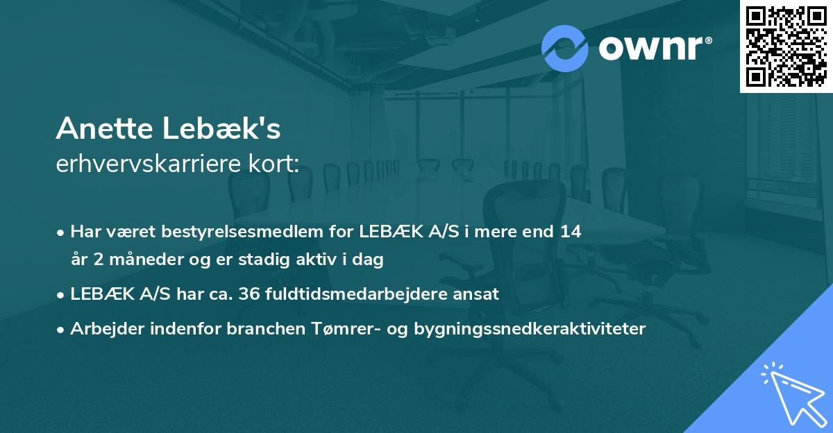 Anette Lebæk's erhvervskarriere kort