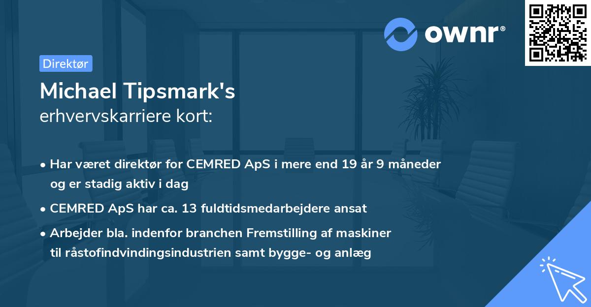 Michael Tipsmark's erhvervskarriere kort